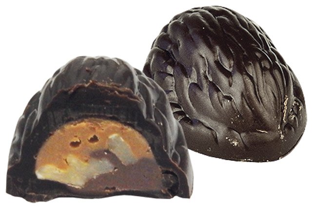 Vlašký ořech hořký