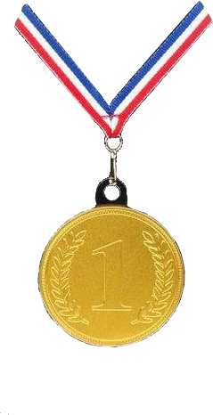 Medaile s trikolorou 24ks